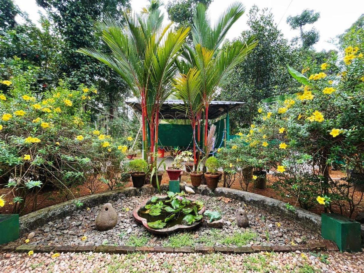 Kuttickattil Gardens Homestay Kottayam Exterior photo